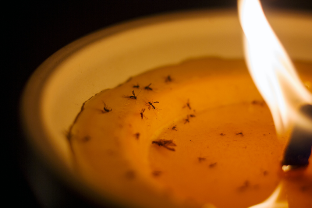 Świece na komary