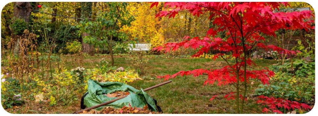Kolory na jesień w ogrodzie mogą oszałamiać.