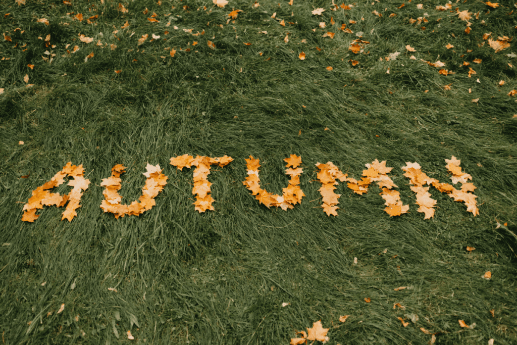 grabienie liści - jesień, autumn
