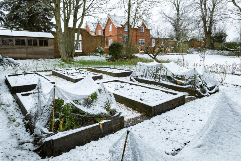 Ogród zimowy