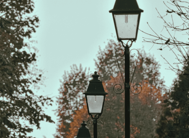 Lampy ogrodowe stojące - latarnie, drzewa
