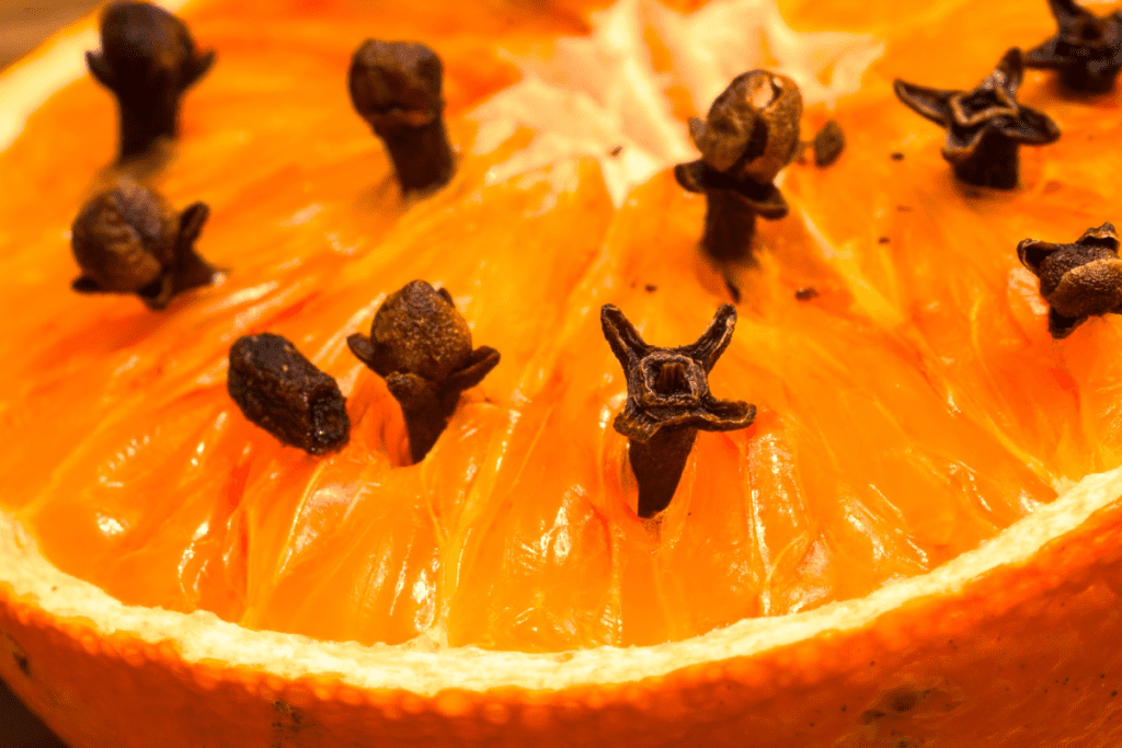 pomarańcza z goździkami