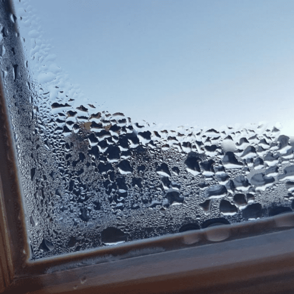 pochłaniacz wilgoci