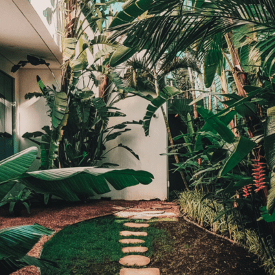 Ogród nowoczesny - ścieżka, droga, rośliny