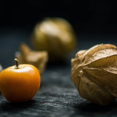 owoc i liście miechunki peruwiańskiej