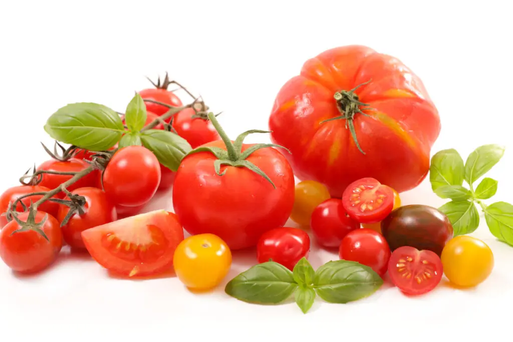 Możesz wybierać spośród setek gatunków pomidorów