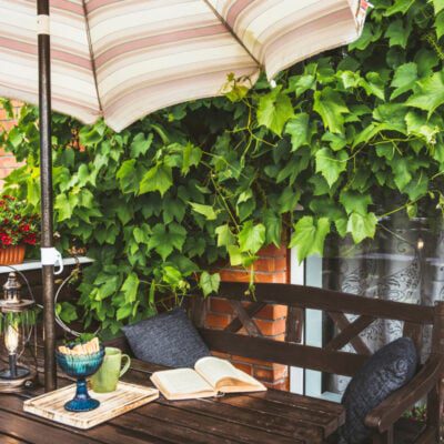 pnącza na balkon
