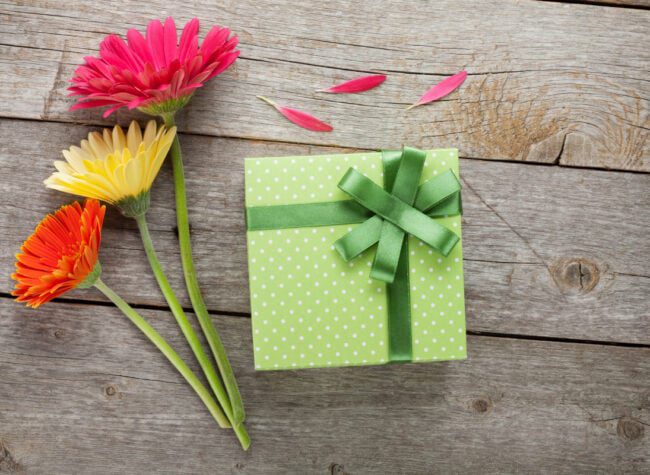 jaki prezent dla domowego ogrodnika