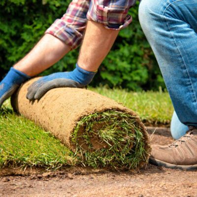 trawa z rolki – jak przygotować podłoże