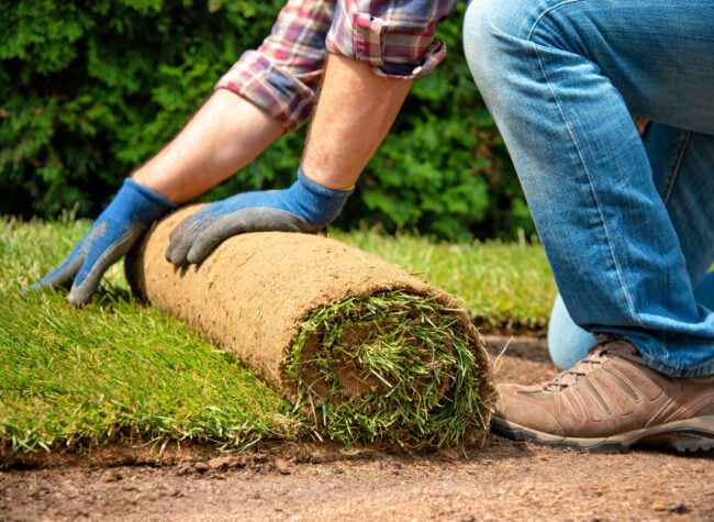 trawa z rolki – jak przygotować podłoże