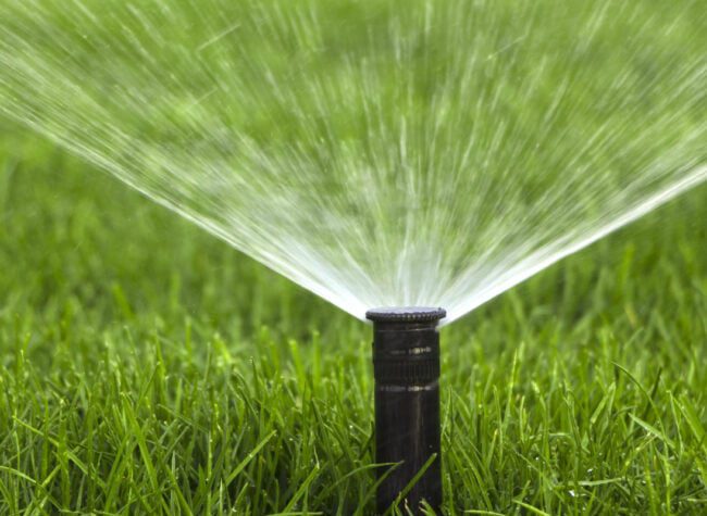 jak zaplanować nawadnianie ogrodu