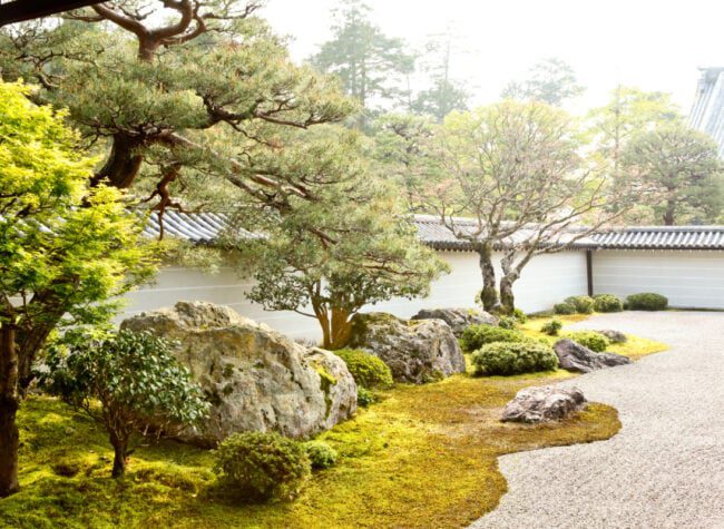 bonsai w ogrodzie