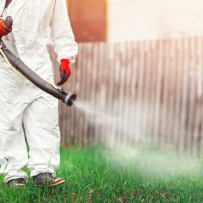 skuteczny oprysk na komary opinie