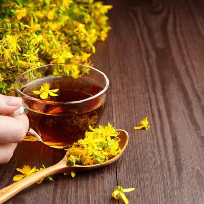 Dziurawiec zwyczajny – właściwości rośliny