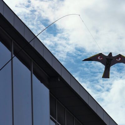 Odstraszacz ptaków latający