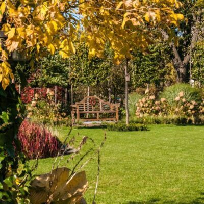 co sadzić w październiku_co siać jesienią