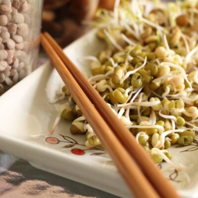 Kiełki fasoli mung