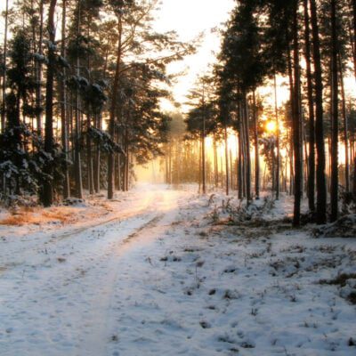 kiedy wypada przesilenie zimowe i najkrótszy dzień w roku