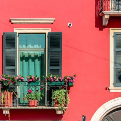 jakie niewymagające kwiaty na balkon wybrać