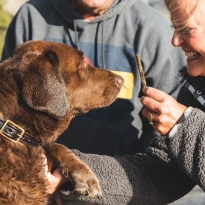 właściciel karmiący psa przekąską