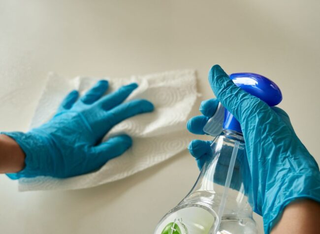 sprzątanie domu cena za godzinę