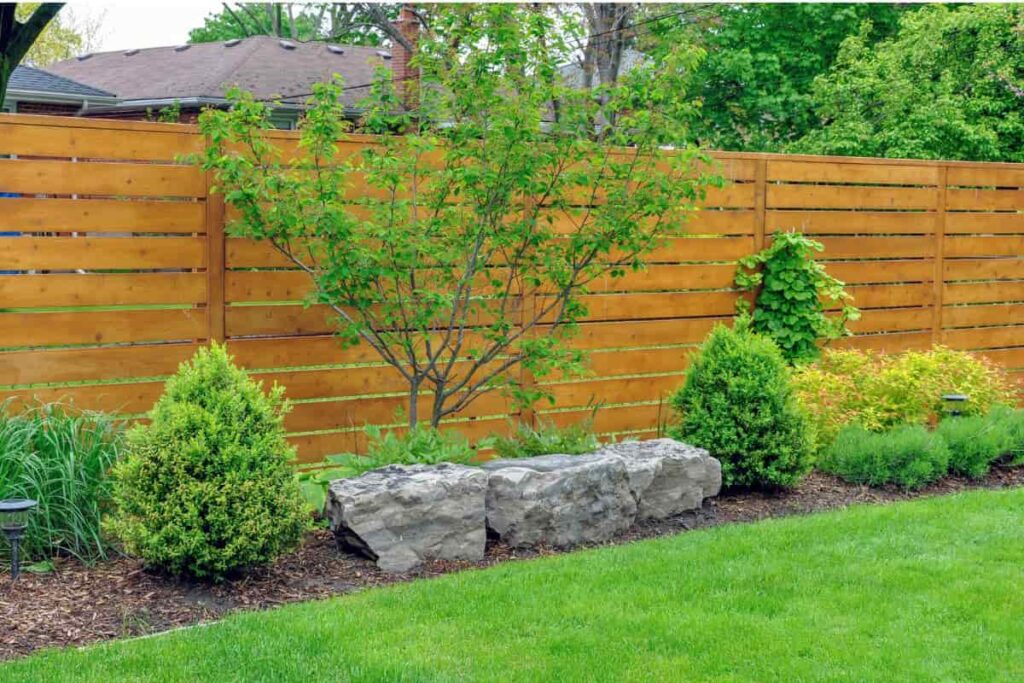 rośliny pod ogrodzeniem