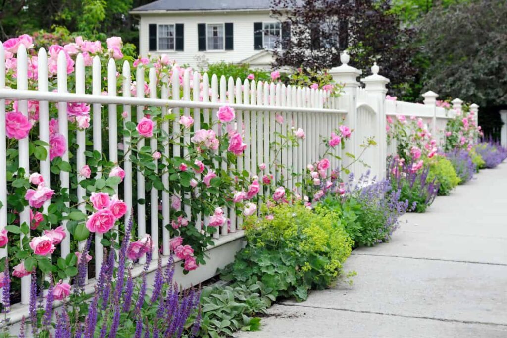 aranżacja ogrodu przy płocie