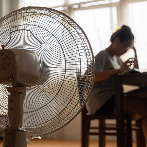 Jaki wentylator wybrać?