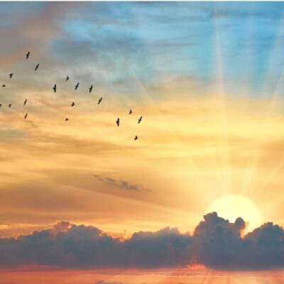 najdłuższy dzień w roku