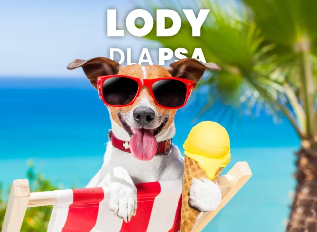 lody dla psa