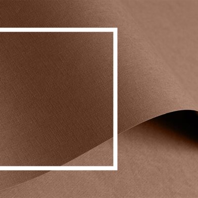 jak wygląa kolor roku 2025