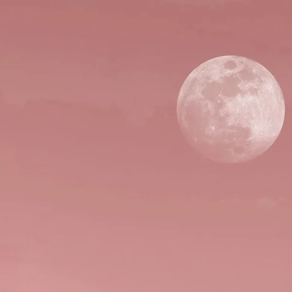 zbliżenie na różowy księżyc w pełni