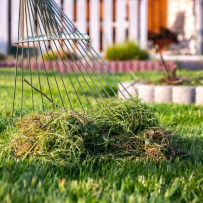 Kalendarz biodynamiczny na czerwiec 2025 – ogród pod kontrolą