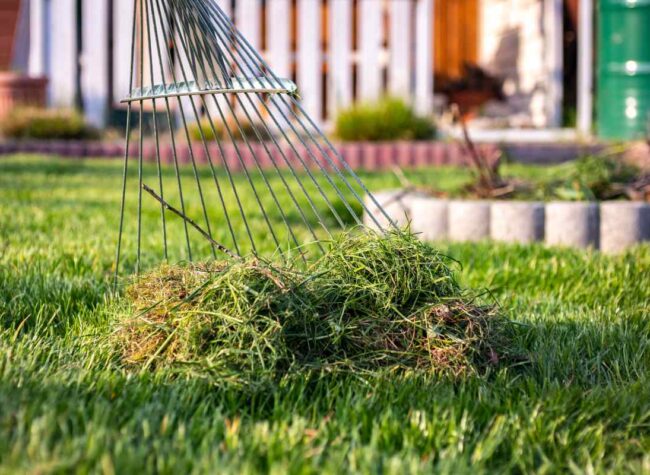 Kalendarz biodynamiczny na czerwiec 2025 – ogród pod kontrolą