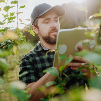 aplikacja do rozpoznawania roślin