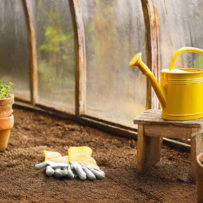 Żółta konewka, rękawice ogrodowe i doniczki z ziołami w tunelu ogrodowym latem