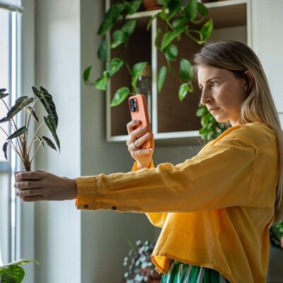 aplikacja do rozpoznawania chorób roślin