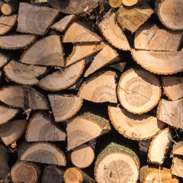 Cena drewna opałowego 2025 – ile kosztuje? Aktualne ceny drzewa