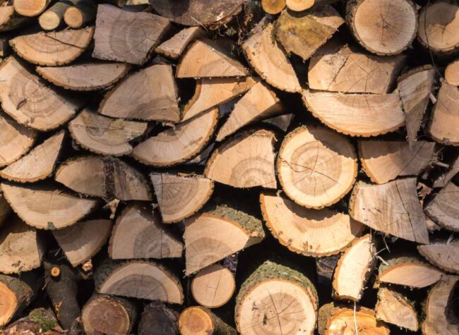Cena drewna opałowego 2025 – ile kosztuje? Aktualne ceny drzewa