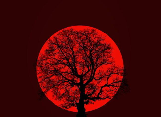 Krwawy Księżyc we wrześniu – nadchodzi piękne zjawisko!