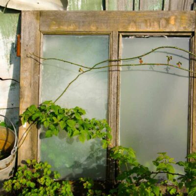Jak wykorzystać stare okna w ogrodzie – pomysły i inspiracje