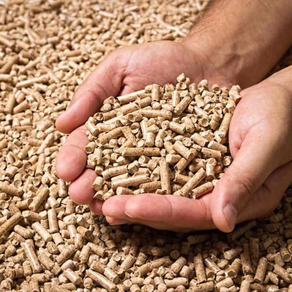 Pellet drzewny w dłoniach – naturalne paliwo do ogrzewania domu