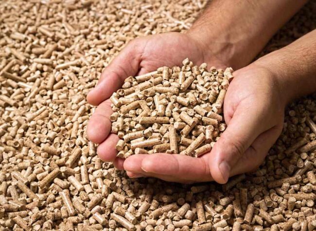 Pellet drzewny w dłoniach – naturalne paliwo do ogrzewania domu