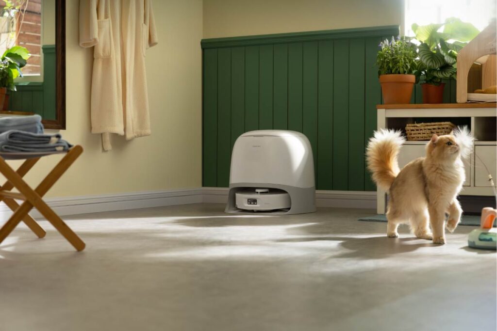 Robot sprzątający Roborock Qrevo Curv 2 Flow w stacji dokującej w domu z kotem