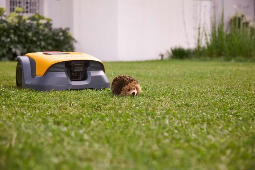 Autonomiczny robot koszący STIGA Vista na trawniku obok jeża